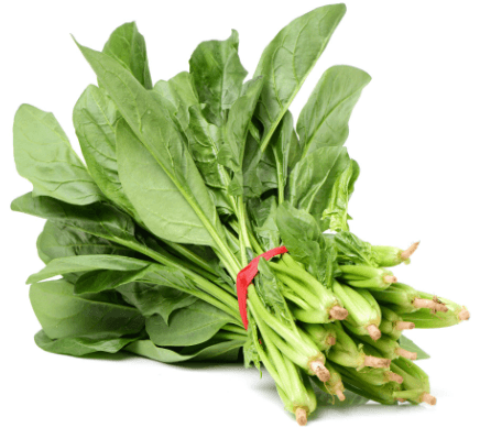 菠菜的营养价值和功效