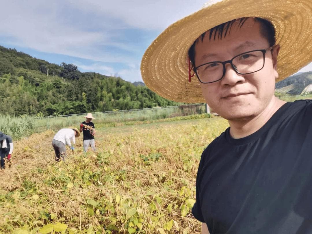 广州大学团队基因编辑大豆获突破，产量提升10-20%