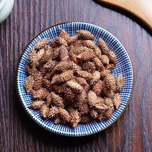 苍耳祛鼻疾，用宜细思量——苍耳子的正确用法