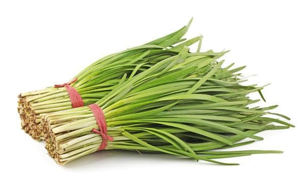 孩子咳嗽可以吃韭菜吗？