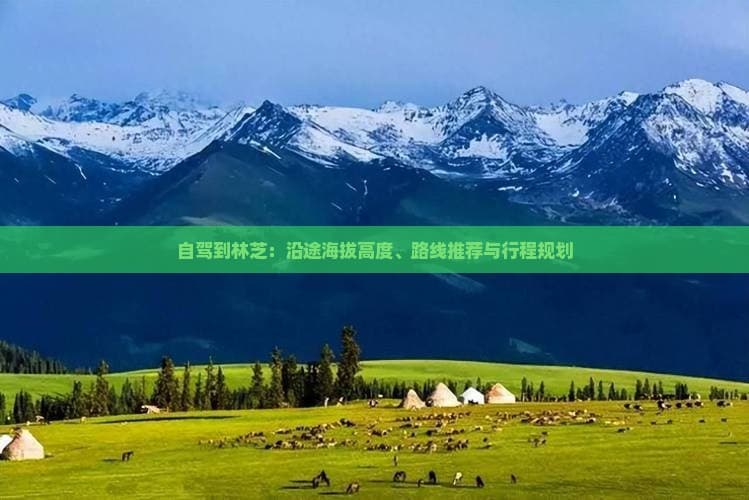 自驾到林芝：沿途海拔高度、路线推荐与行程规划