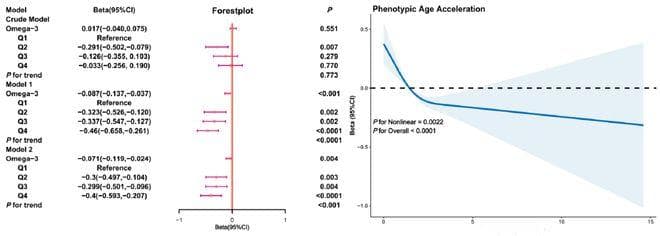 最新研究：每天补充1.1克Omega-3脂肪酸，或能延缓衰老