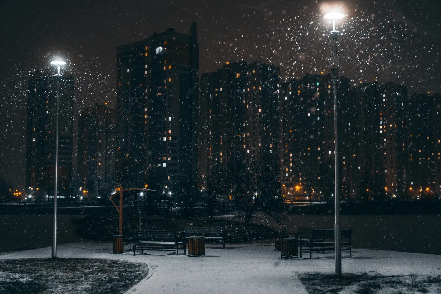 用相机记录最美雪景：冬日的温暖瞬间