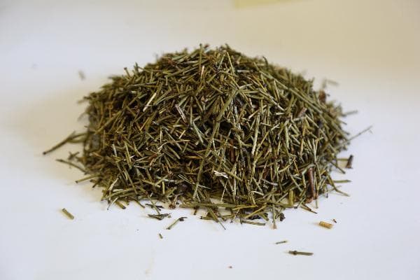 中医治疗鼻子出血的四种方法