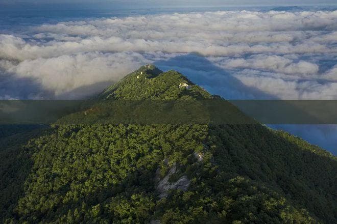 海南白沙县旅游景点排行榜：最新前十名必去攻略