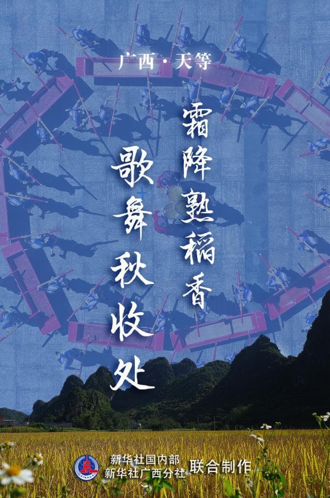 广西天等：霜降熟稻香，歌舞庆丰收