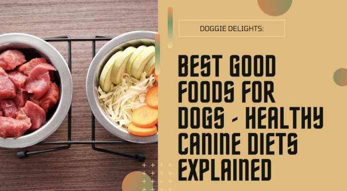 对狗来说最好的食物——健康的犬类饮食