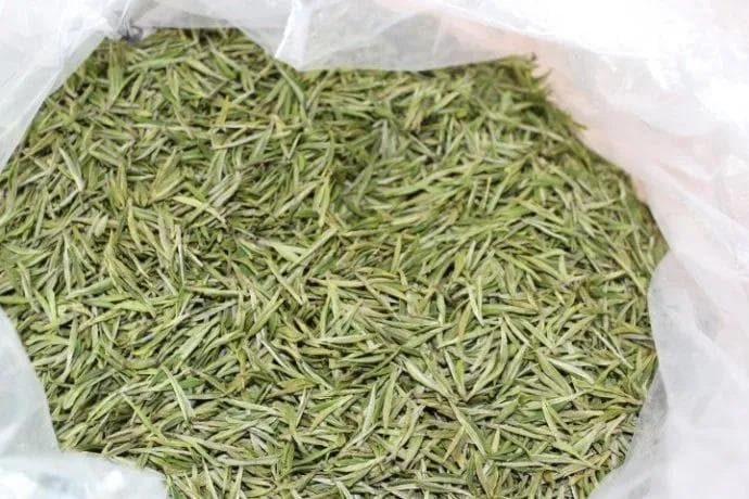 掌握8大泡茶秘籍，全面提升品茗艺术