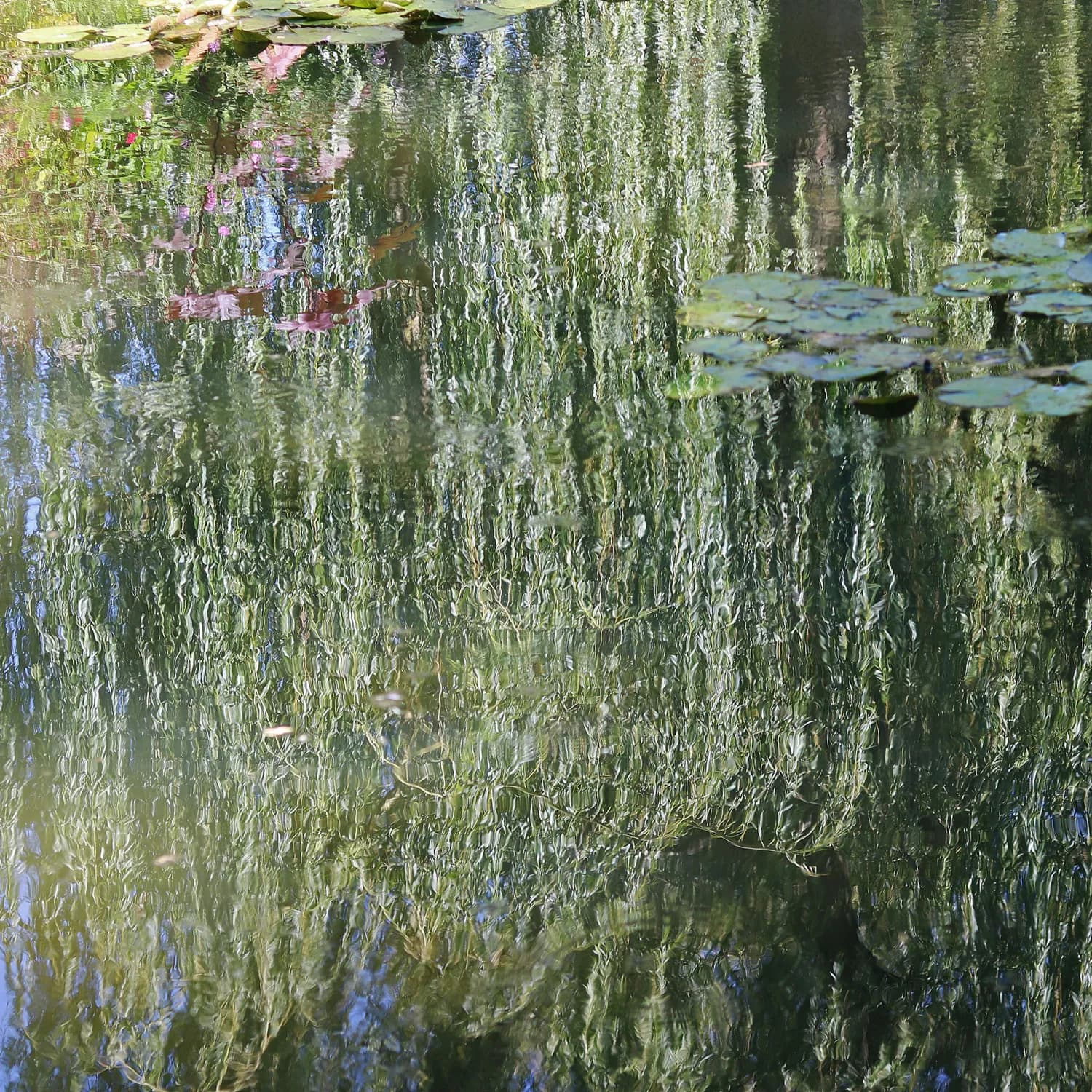 池塘边的静谧时光：《在池塘边回忆》与莫奈的《池塘》