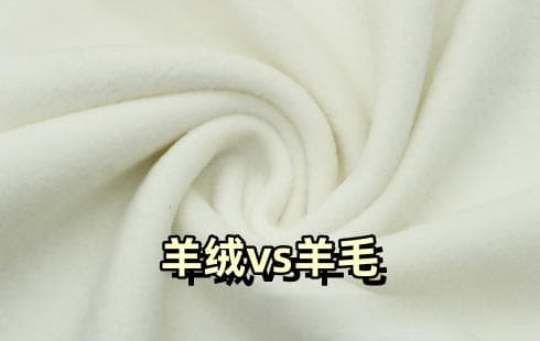 羊绒vs羊毛！它们俩有何区别？