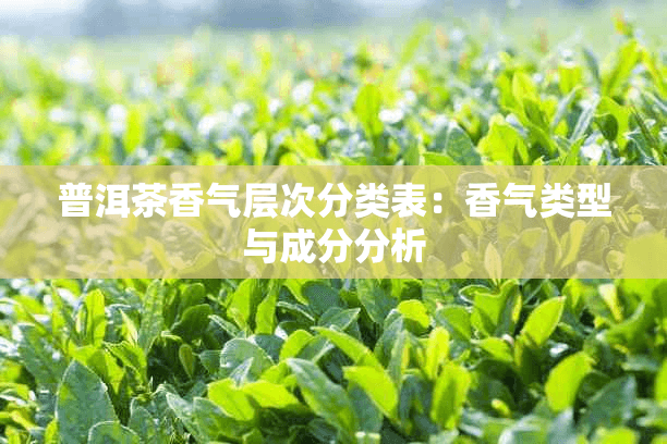 普洱茶香气层次分类表：香气类型与成分分析