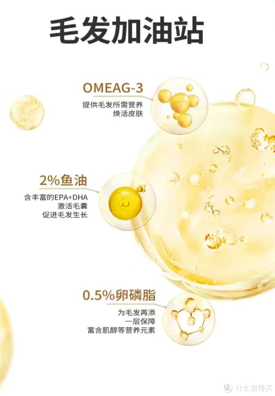 养猫必看！揭秘宠物店不会告诉你的猫粮选择秘籍