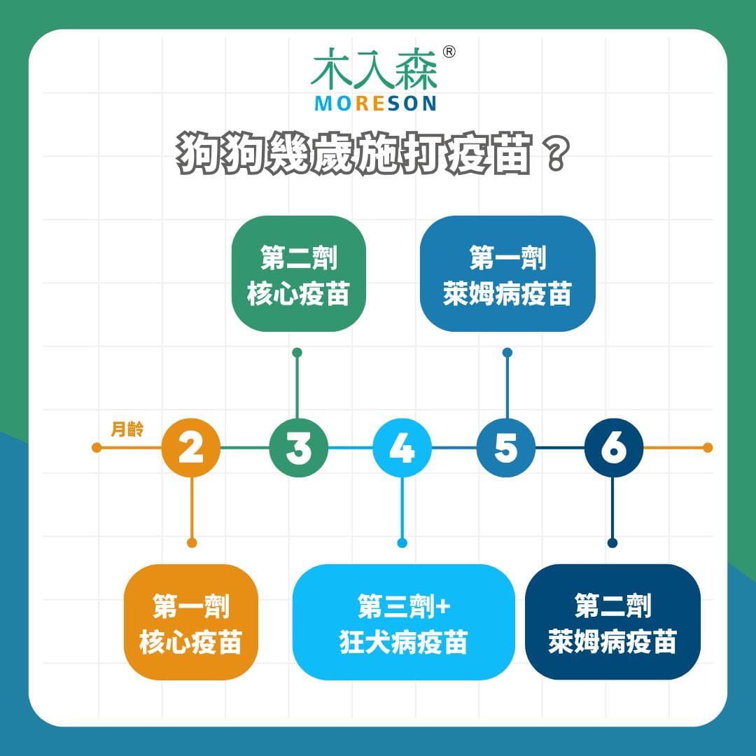 新手飼主必看！狗狗疫苗順序、種類與費用懶人包，你不能不知到的關鍵時程與注意事項！