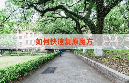 如何快速复原魔方：技巧与策略