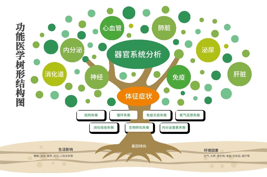 什么是功能医学，功能医学在健康保健中的应用及作用？