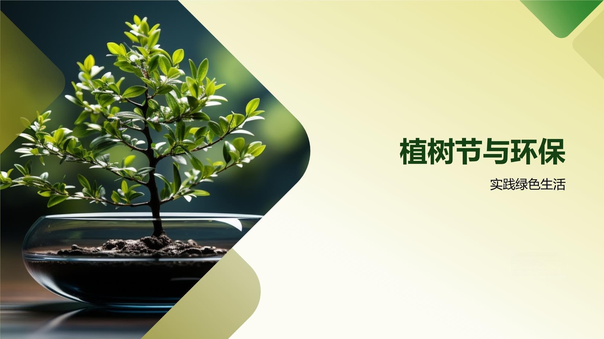 植树节与环保：从起源到实践