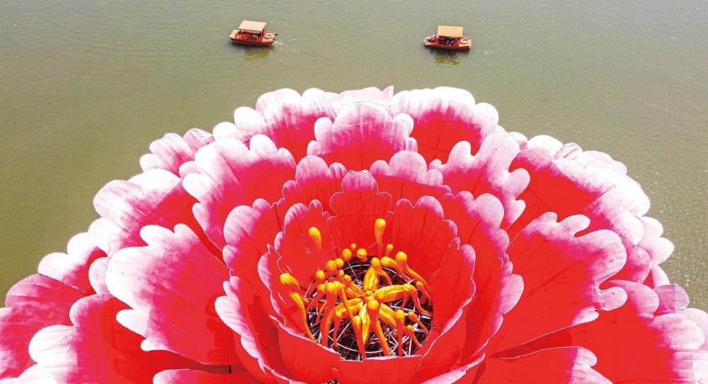 牡丹花动洛阳城