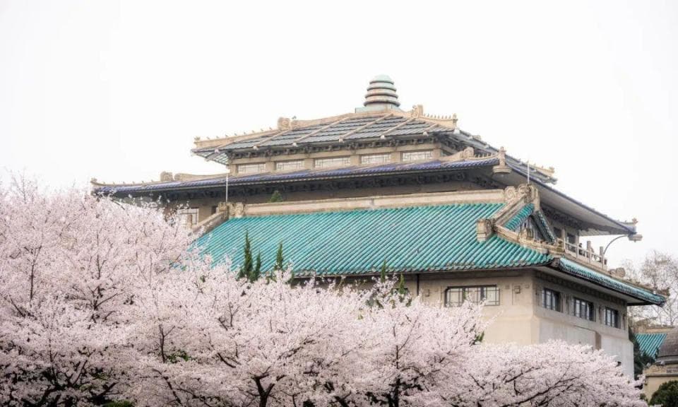 樱花季武汉大学周边一日游全攻略！