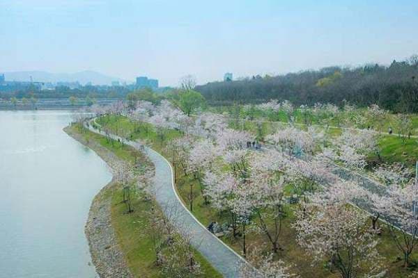 春游去哪玩？杭州西湖及周边景点推荐