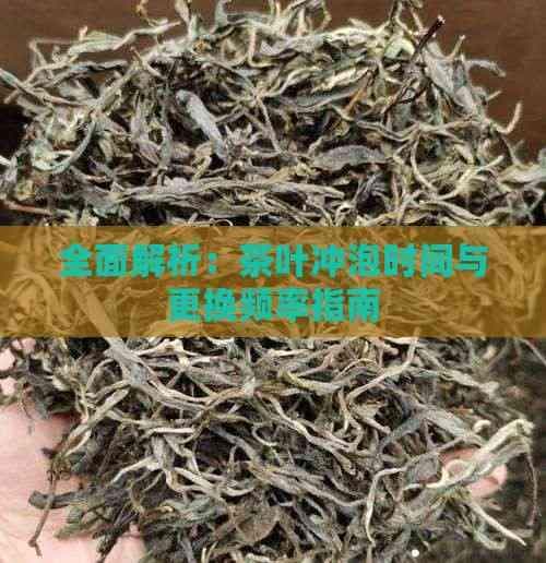 全面解析：茶叶冲泡时间与更换频率指南