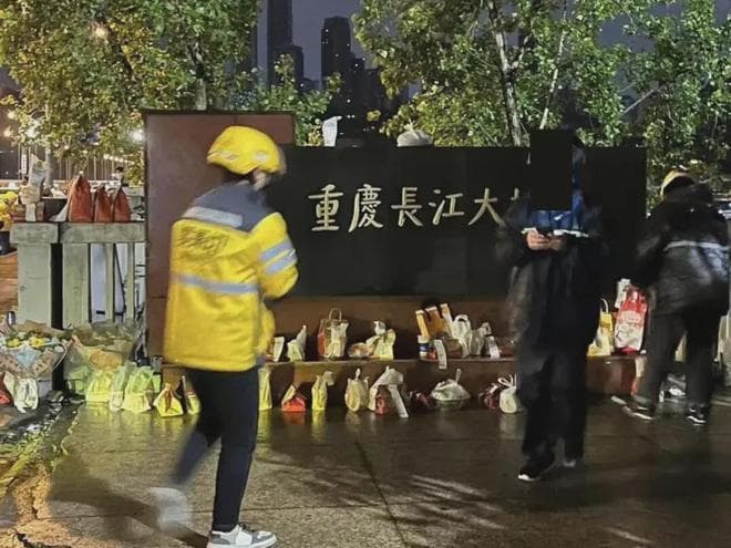 【芙蓉律师说法】“胖猫事件”法律浅析