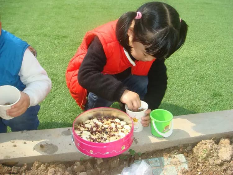 小学生简单用水种黄豆怎样种
