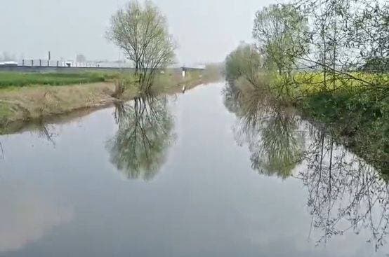 微生物技术治理河道水塘水质发黑发臭污染问题