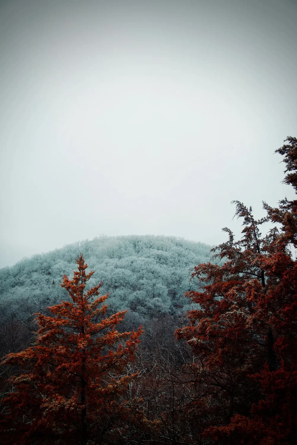 秋冬打卡衡阳最美自然景观：南岳衡山&石鼓书院