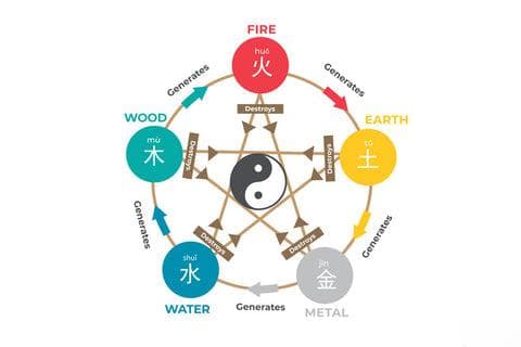 风水与植物：吸引正能量进入你的家居设计