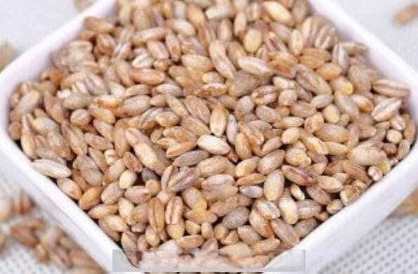 蓝青稞米的功效与作用及食用方法