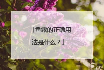 鱼露调料的作用和用法(越南鱼露调料的作用和用法)