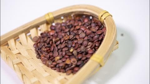 炒酸枣仁泡水的功效