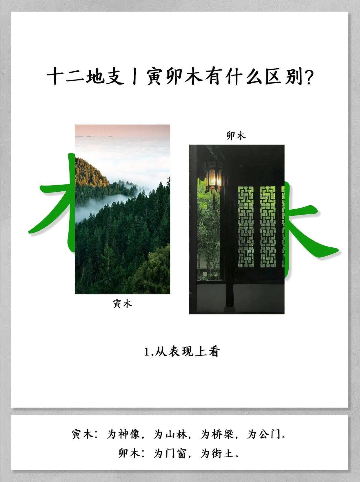 五行中寅卯木的区别分析