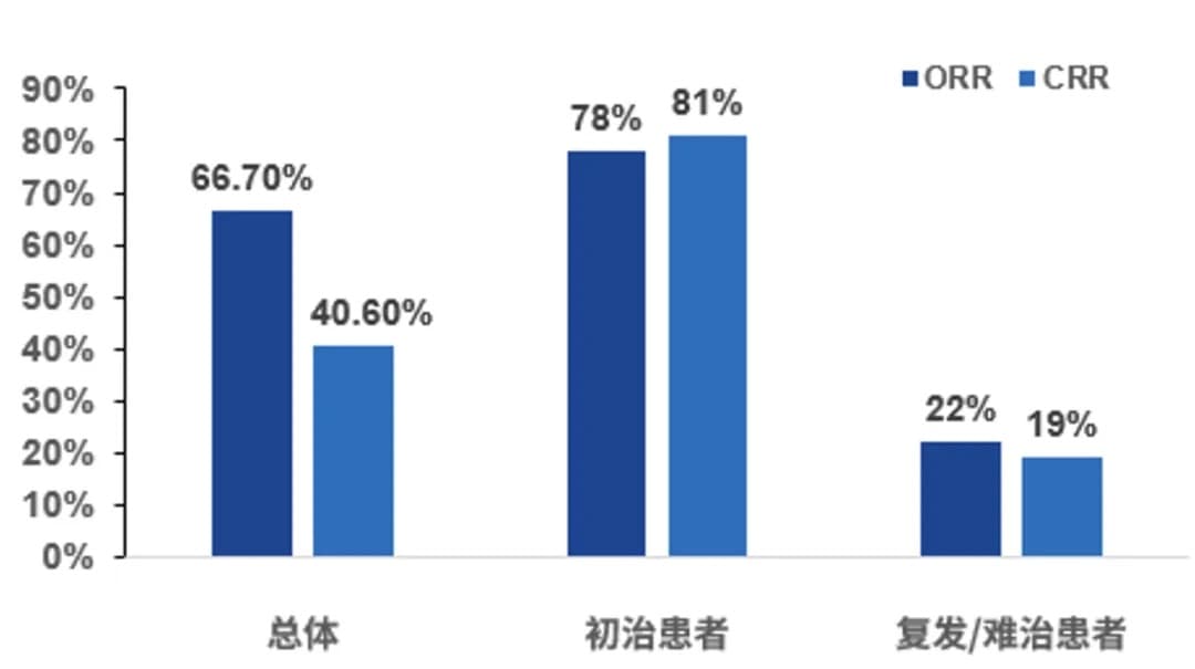 白鸥教授：中国学者应对淋巴瘤临床挑战的思考和中国数据