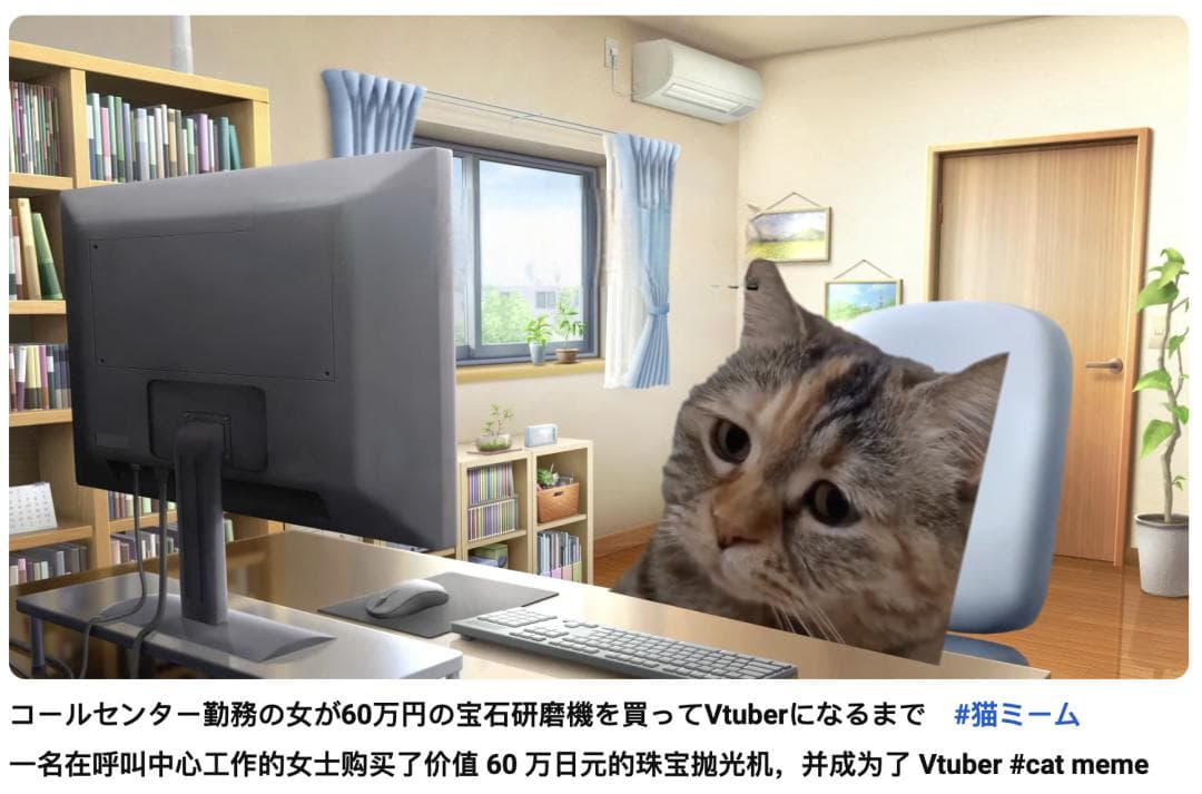 这届年轻人，正在用小猫演绎自己的精神状态
