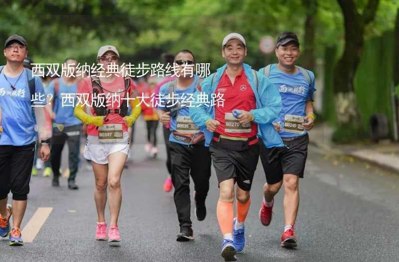 西双版纳十大徒步路线推荐：从入门到进阶，领略热带雨林与民族文化
