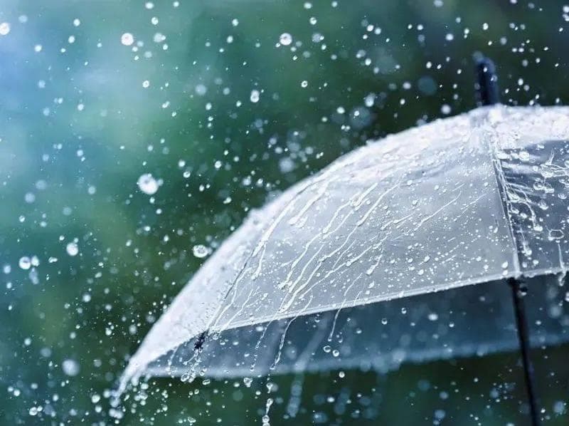 梅雨季节，衣食住行防湿指南！