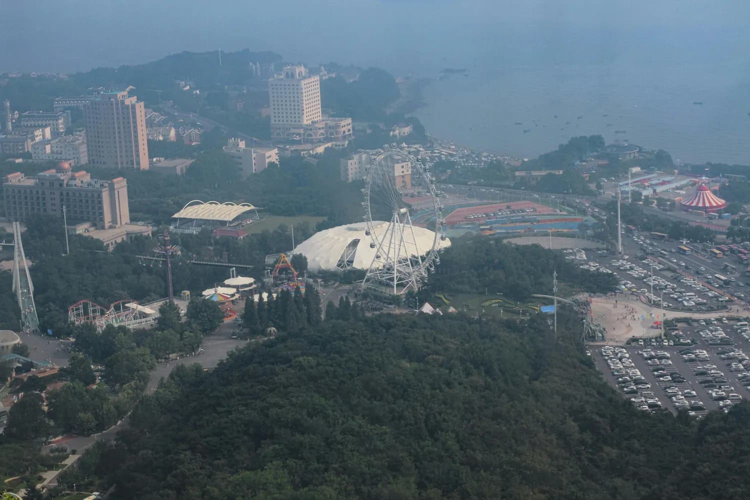 大连老虎滩海洋公园亲子游：十大打卡点玩转海洋世界