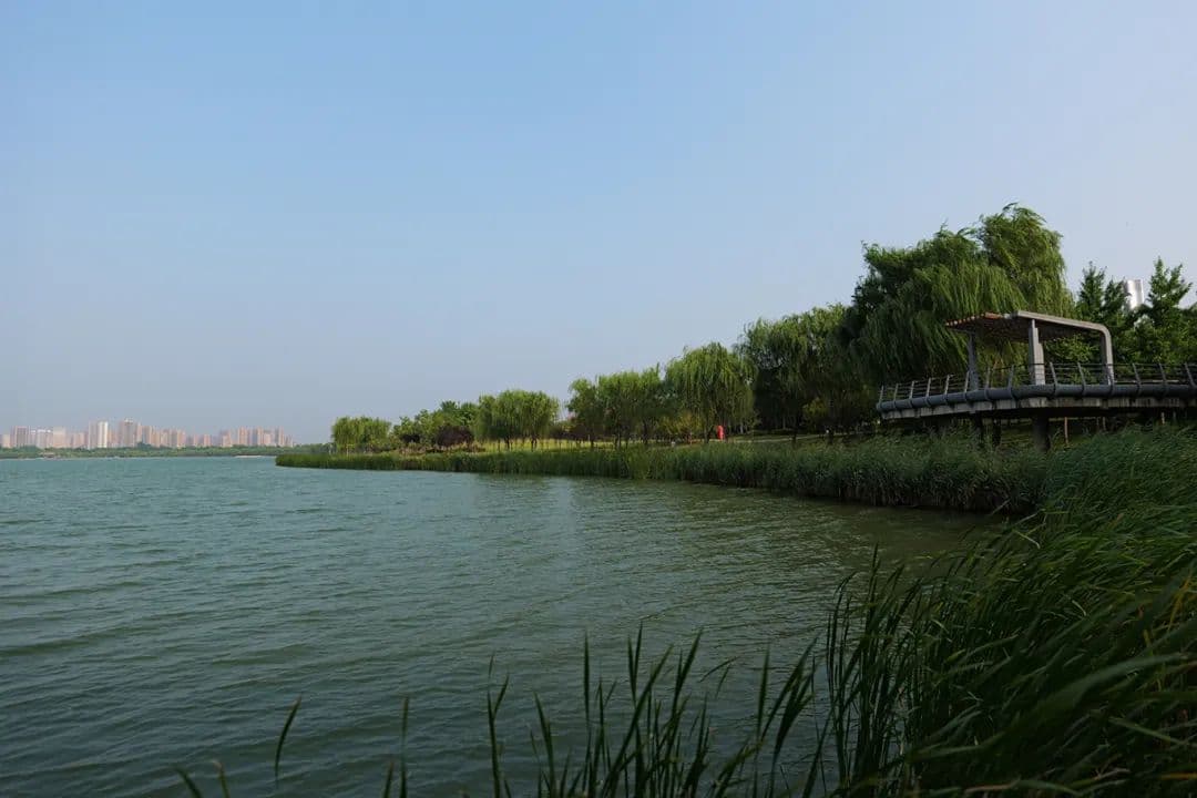 郑州象湖生态文化公园：夏日休闲的完美去处