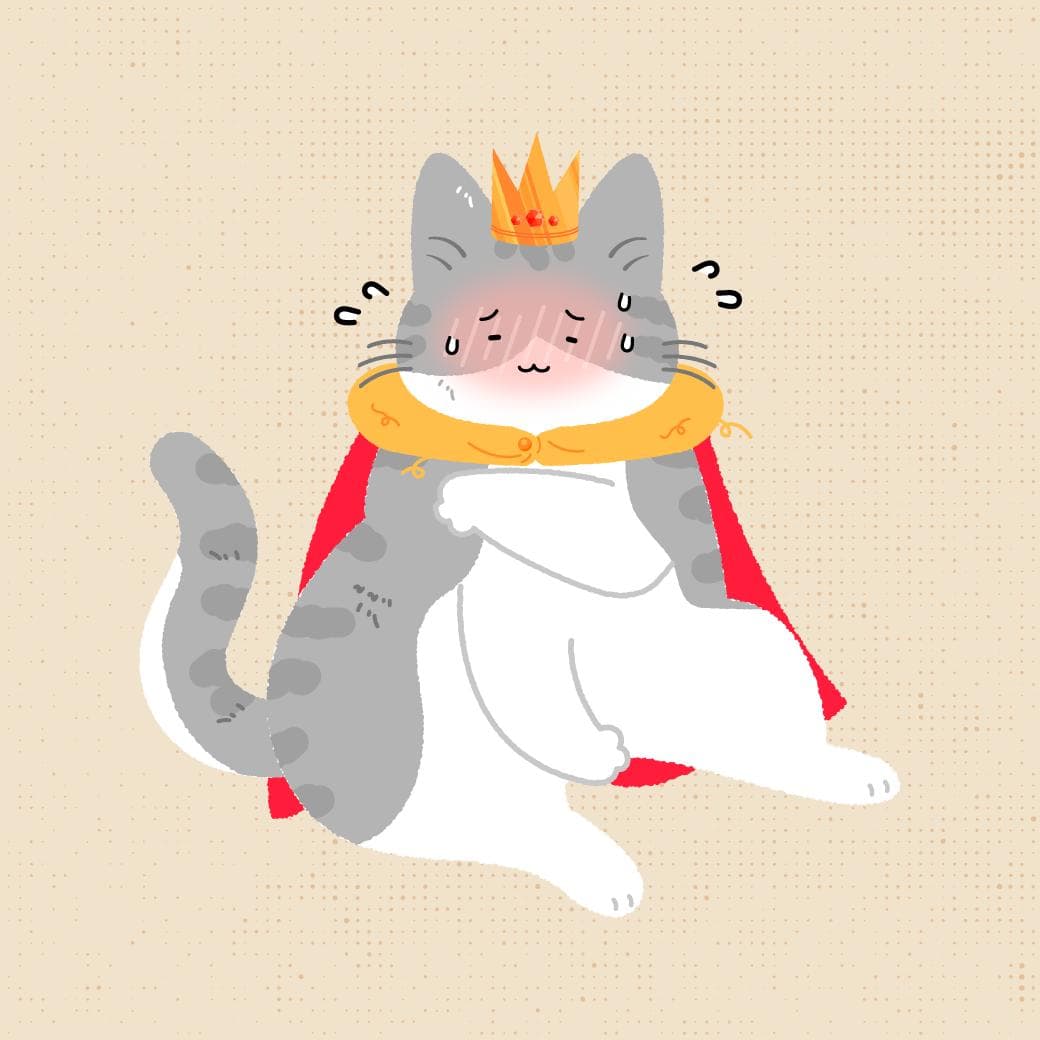 猫咪掉毛皮膚禿一塊和季節有關嗎？一篇教你識別主子掉毛7原因