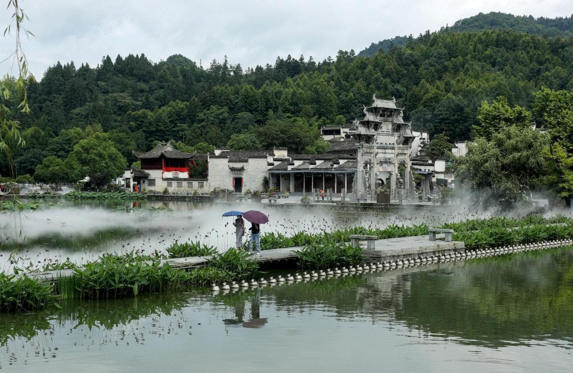 问计！旧院黑鸡→中国名鸡 | 产业共生，黄山黑鸡“蹭黟流”的生存法则
