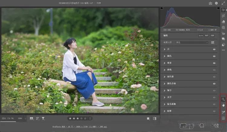 Camera Raw：常规工具使用指南