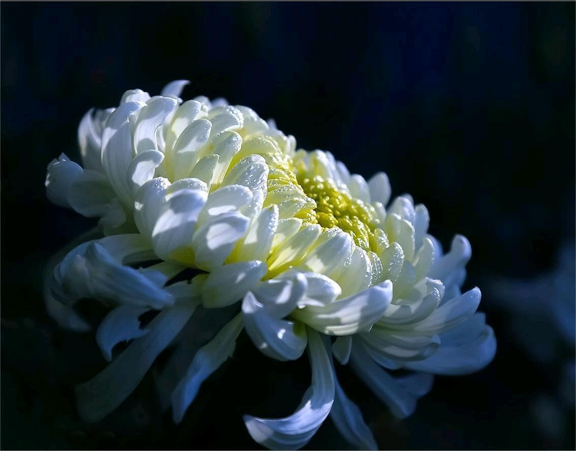 拍花的六大技巧