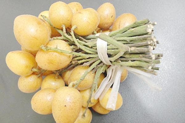 黄皮果营养价值 黄皮果的功效与作用及禁忌