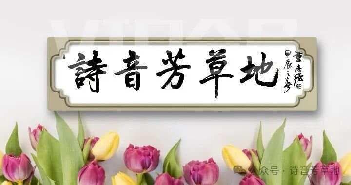 中国画落款全攻略：从常见错误到专业技巧