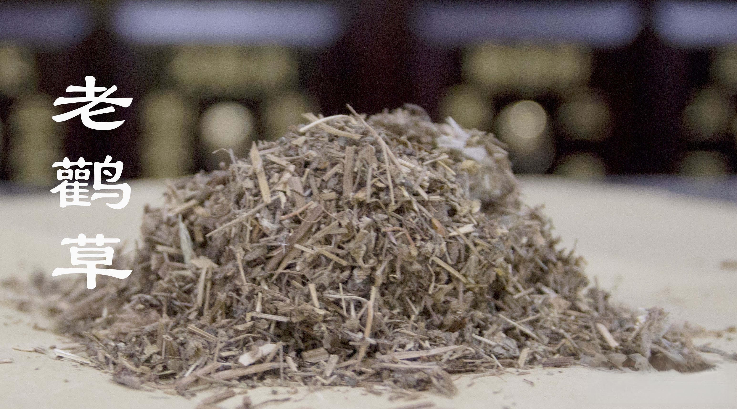 中医（专长）医师资格证，每日一味学中药——老鹳草