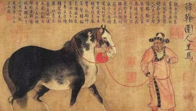 “凉州大马横行天下”的秘密 寻找陇马的足迹③