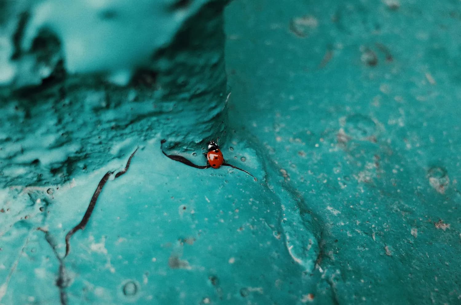 游戏开发中的Bug排查秘籍