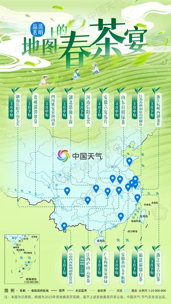 春茶版图大起底！从龙井到毛尖的征服之旅