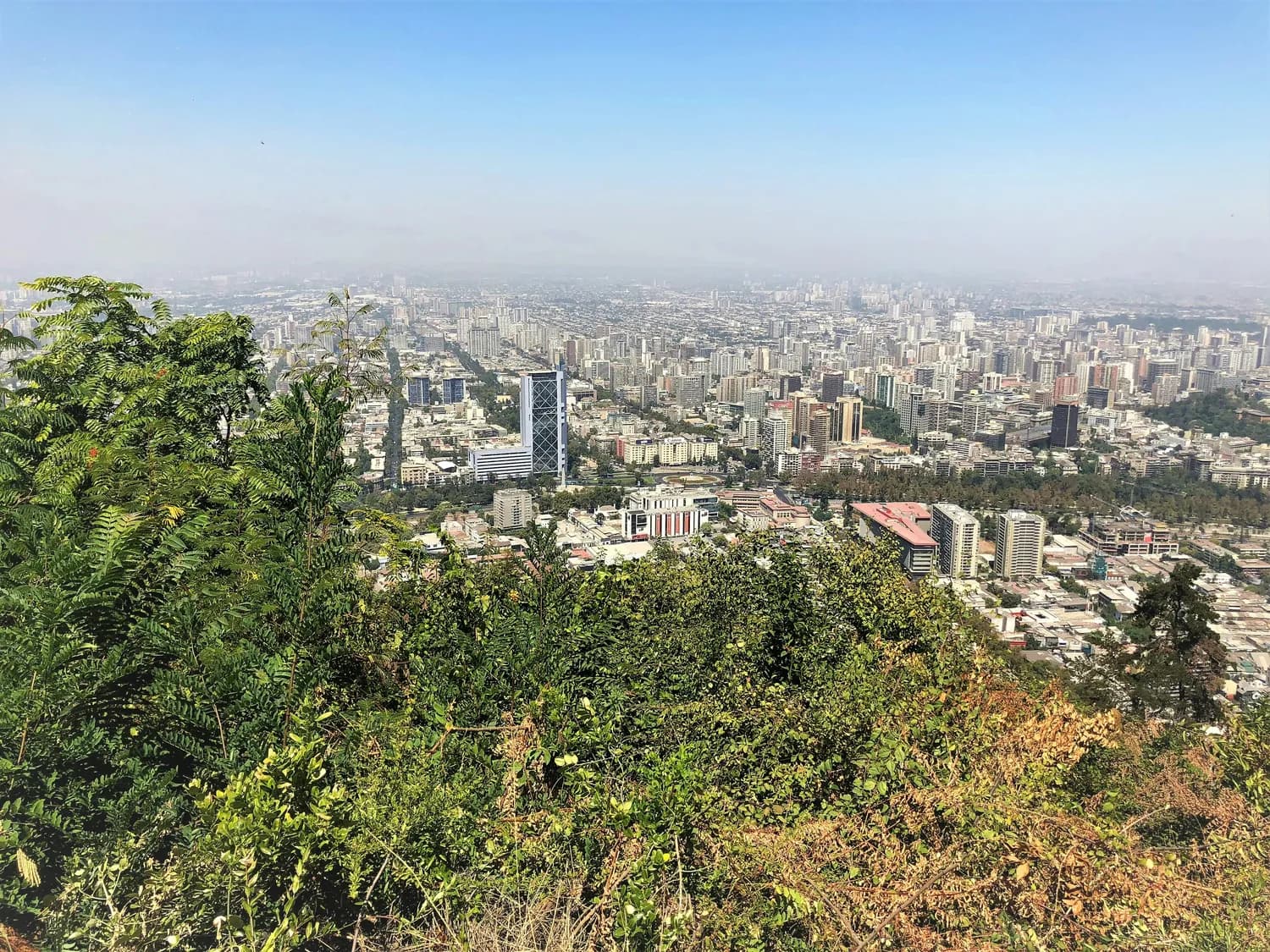 国庆必打卡！深圳三大公园游玩攻略